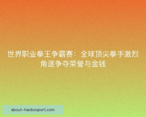 世界职业拳王争霸赛：全球顶尖拳手激烈角逐争夺荣誉与金钱